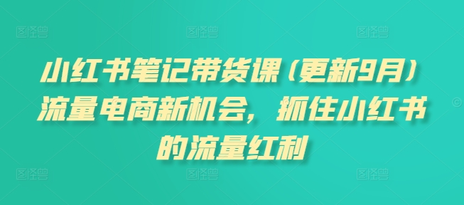 小红书笔记带货课(更新25年1月)流量电商新机会,抓住小红书的流量红利