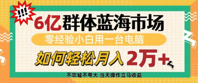 6亿群体蓝海市场,零经验小白用一台电脑,如何轻松月入过w【揭秘】