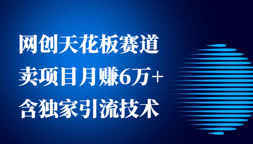 网创天花板赛道，卖项目月赚6万+，含独家引流技术(共26节课)-项目创薪