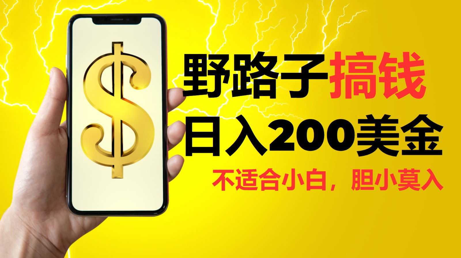 挂机野路子搞钱，日入200美金，路子很野，小白莫入-项目创薪